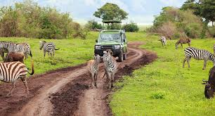 Arusha National Park