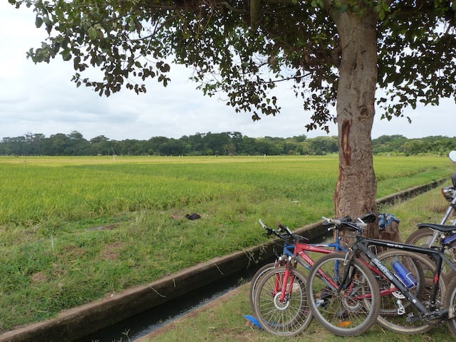 Moshi Bike Tour